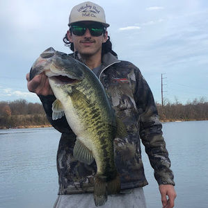 Meet your Posher, Brady